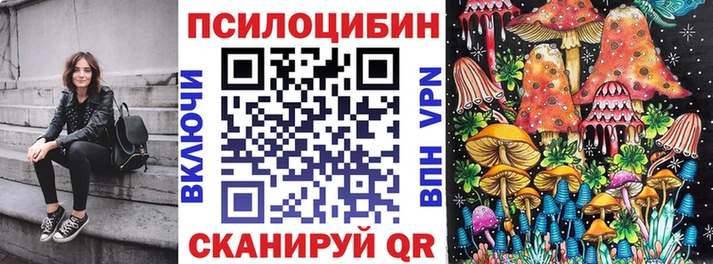 Псилоцибиновые грибы прущие грибы  Александровск-Сахалинский 